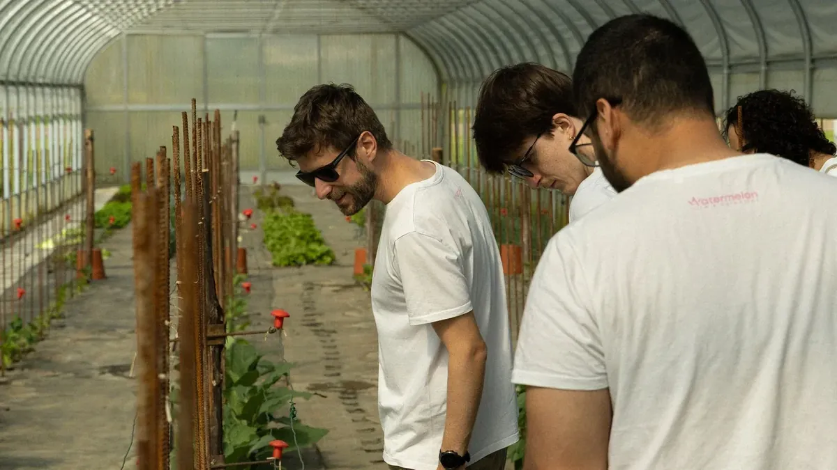 Team building in the Il Sentiero cooperative's greenhouse, among locally grown vegetables