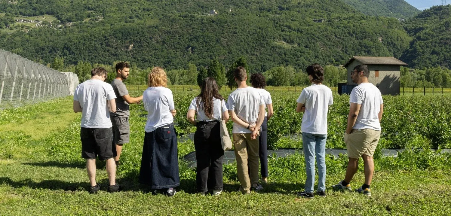 The Watermelon team in the fields of the Il Sentiero social cooperative, in Morbegno