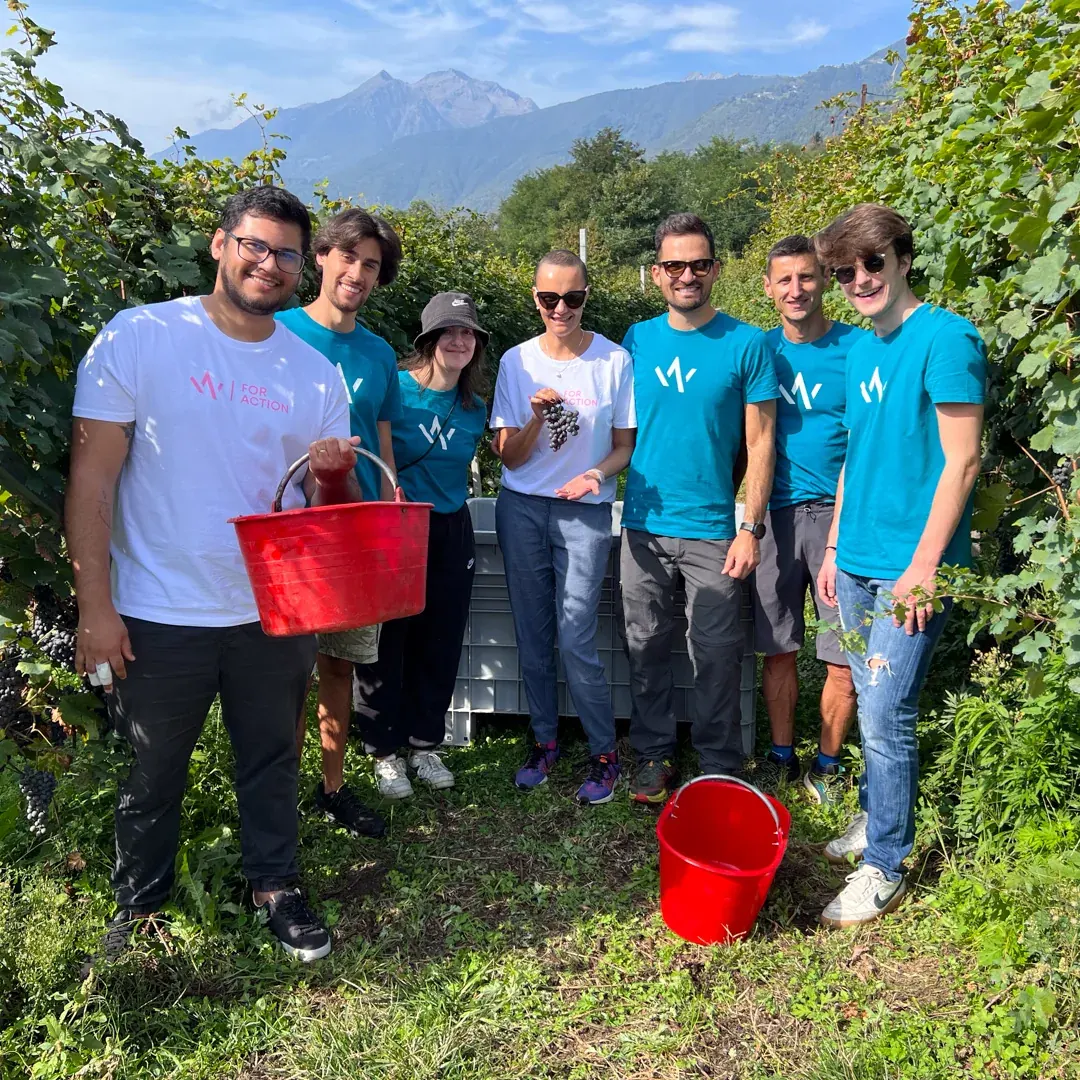Il Pagano, il vino dell'azienda agricola Ca'Olta.
